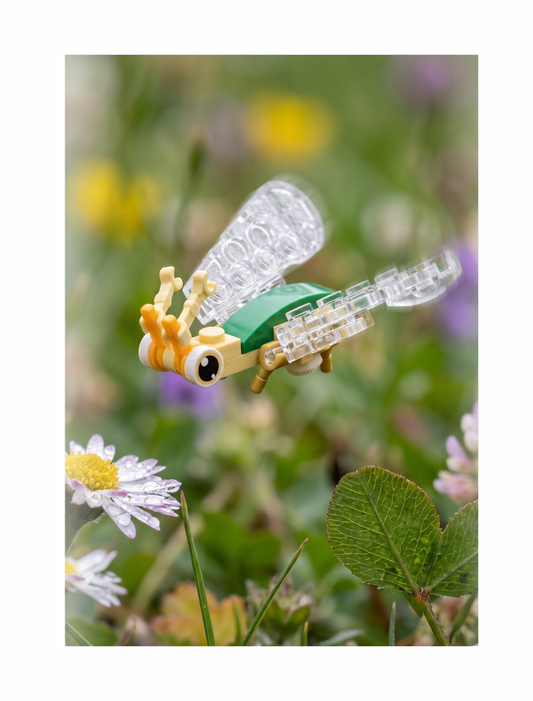 Build-A-Bug: The Lacewing