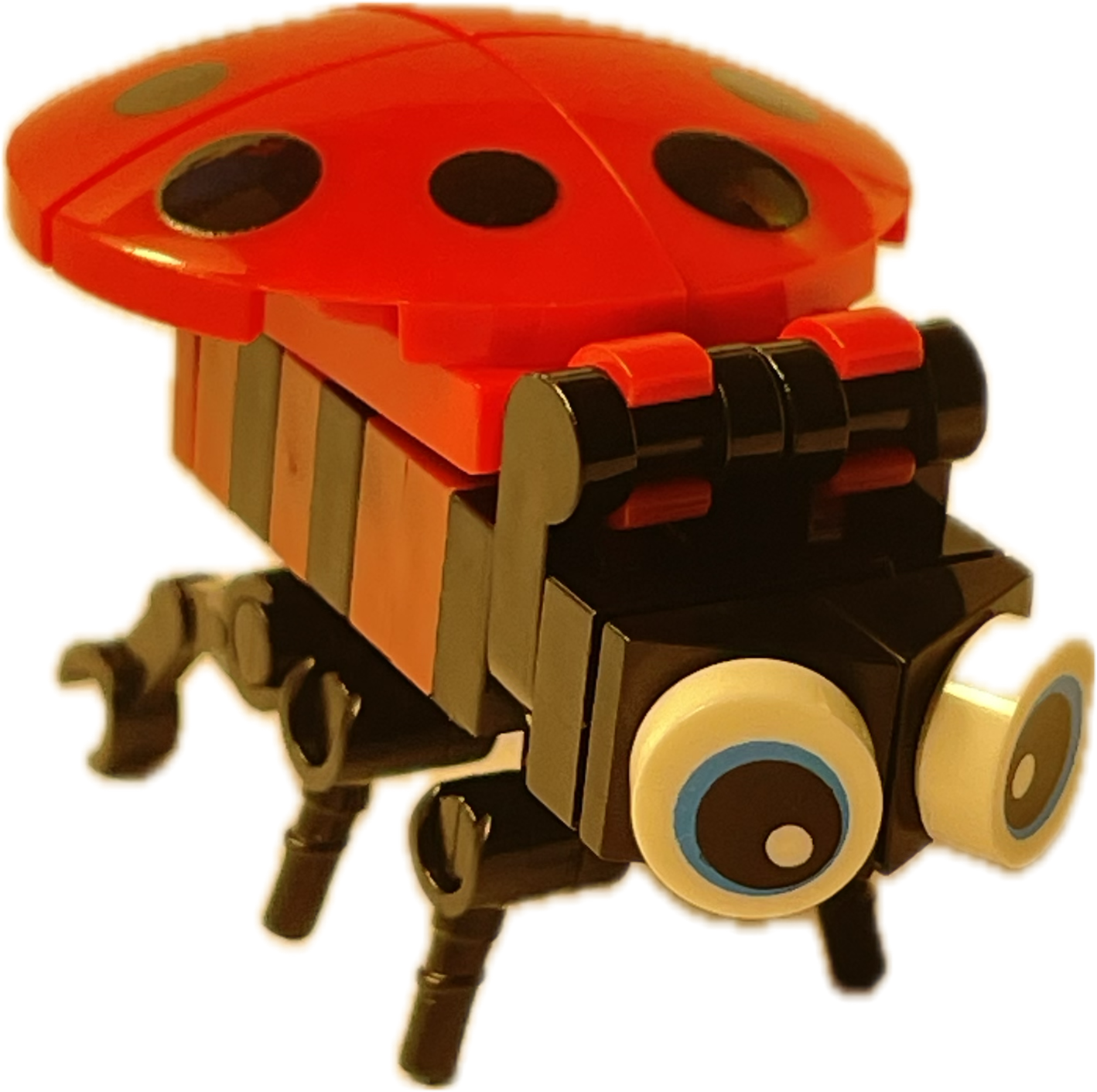 Bugs4Fun: The Ladybug