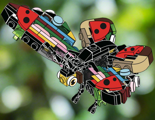 Large Build | Butterfly / Chameleon