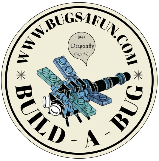 Bugs4Fun: The Dragonfly