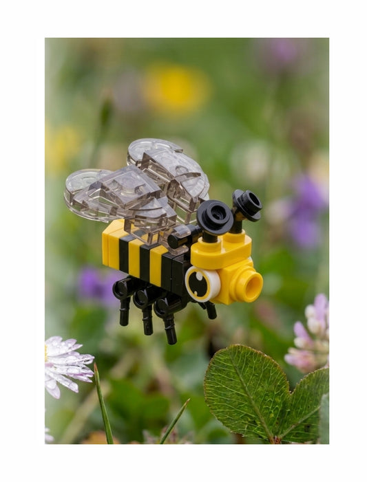 Bugs4Fun: The Bee