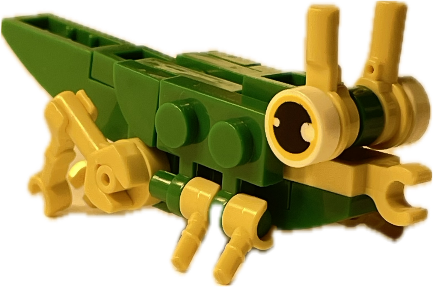 Bugs4Fun: The Locust